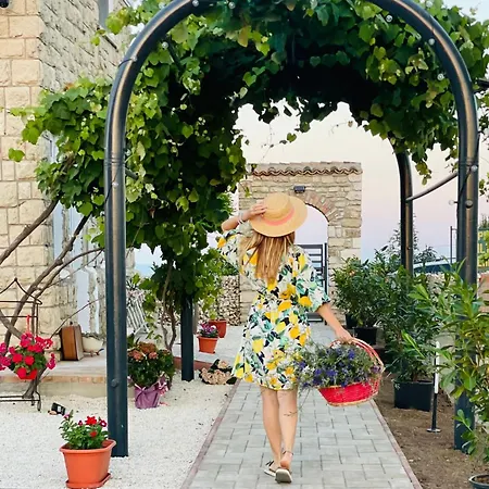 Halta Pescarus Pensión